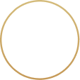 Distribuição